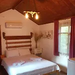 Canario * Çıralı