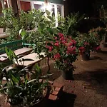 Canario Çıralı