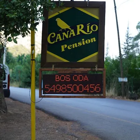 Canario 롯지
