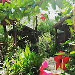 Canario Деревянный коттедж