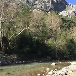 Canario Çıralı