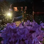 Lodge Canario Çıralı