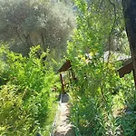 Canario Hytte Çıralı
