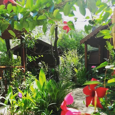 Canario Lodge