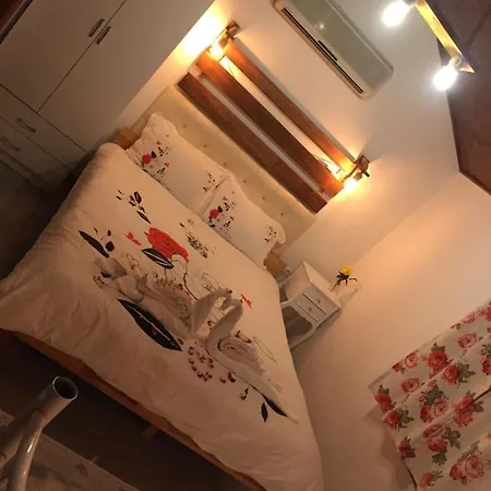 Canario 롯지