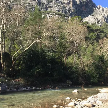 Canario Cirali