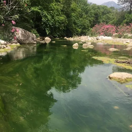 Lodge Canario