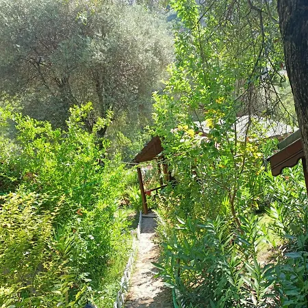 Canario Lodge Cirali