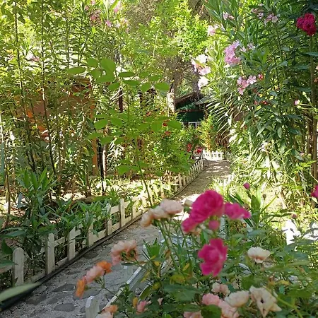 Canario Lodge *