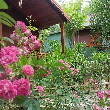 Lodge Canario