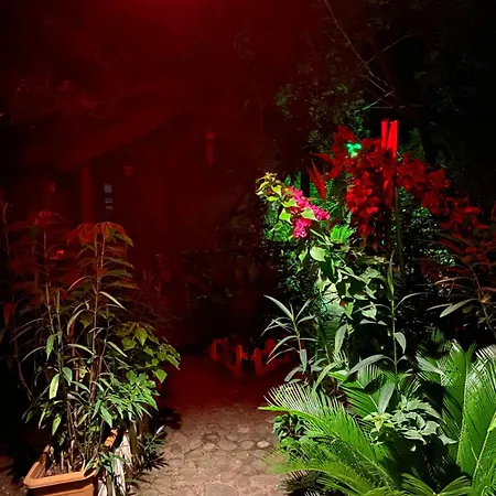 Canario Lodge Cirali