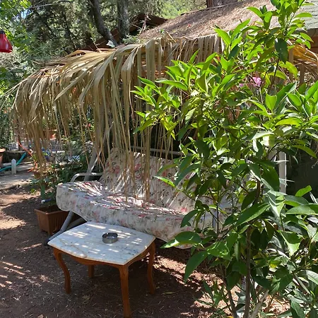 Canario Lodge Çıralı