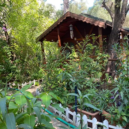 Canario Lodge