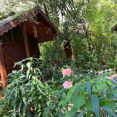 Lodge Canario Cirali