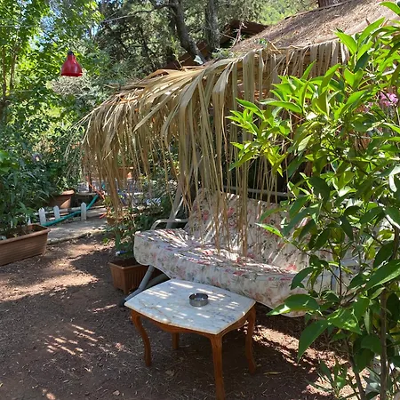 Canario Lodge