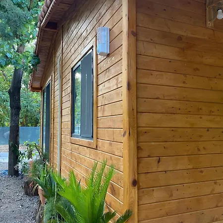Canario Lodge *
