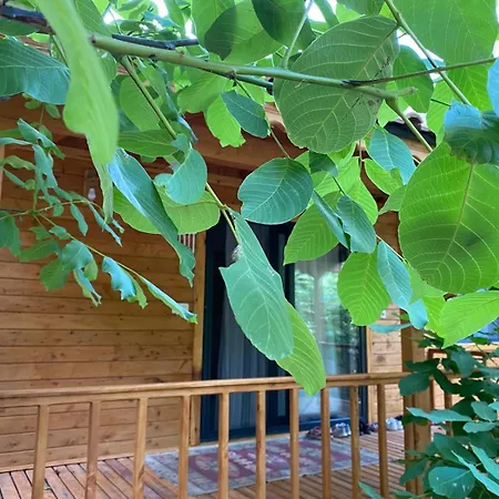 Lodge Canario Çıralı