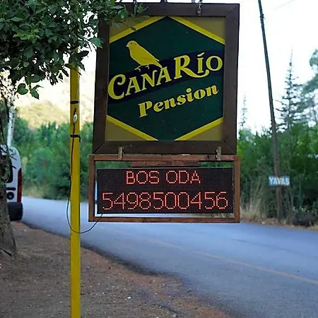 Canario 롯지
