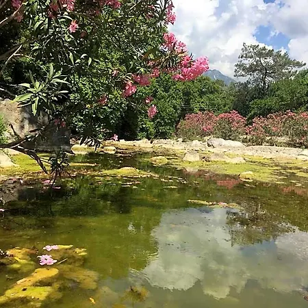 Canario Alojamento de Turismo Selvagem *