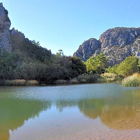 Canario Alojamento de Turismo Selvagem Çıralı