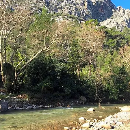 롯지 Canario Çıralı