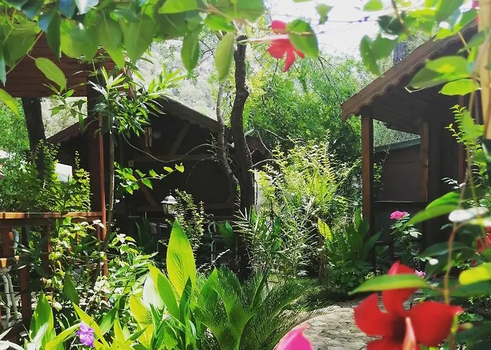 Canario Lodge