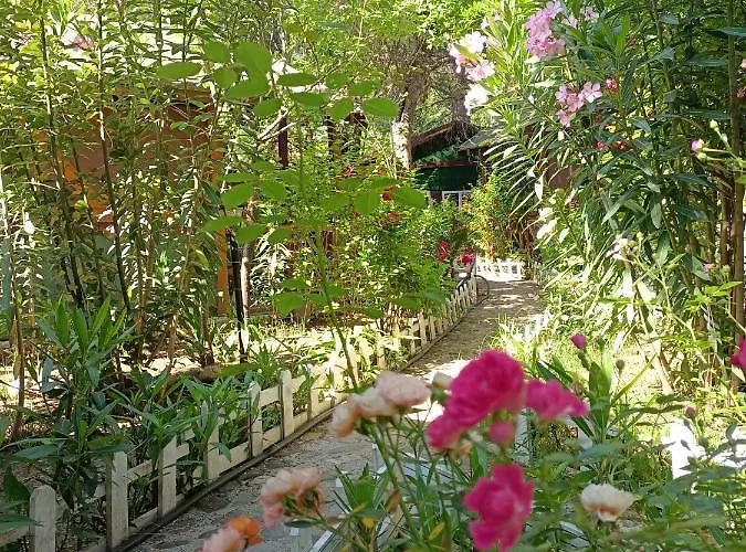 Canario Lodge *