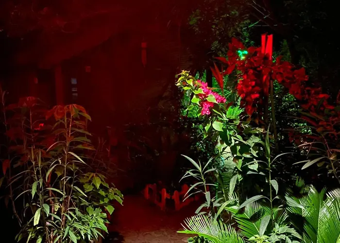 Canario Lodge Cirali