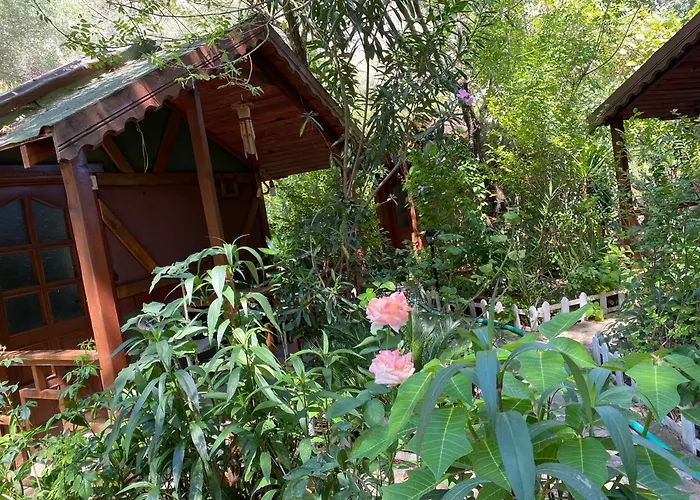 Lodge Canario Cirali