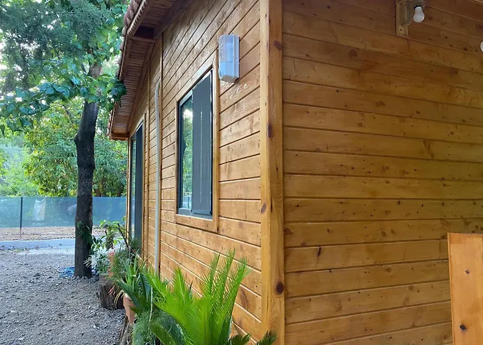 Canario Lodge *