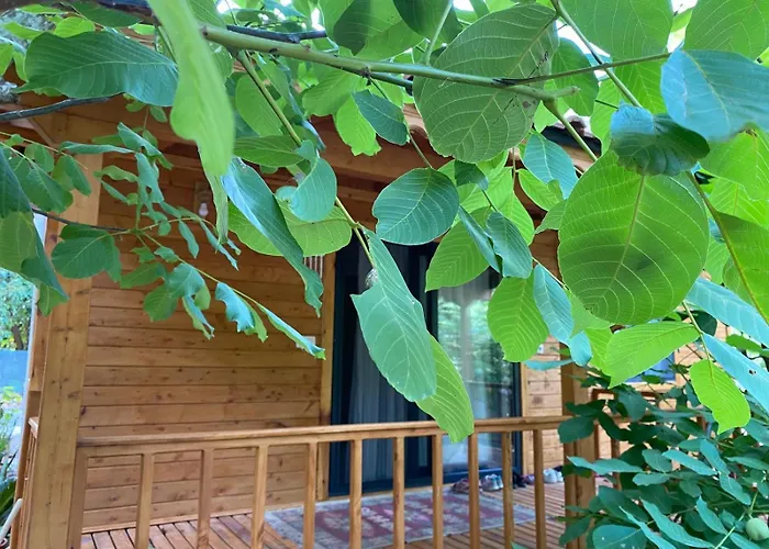 Lodge Canario Cirali